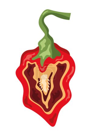 Illustration for Half jalapeno red vector isolated - Royalty Free Image