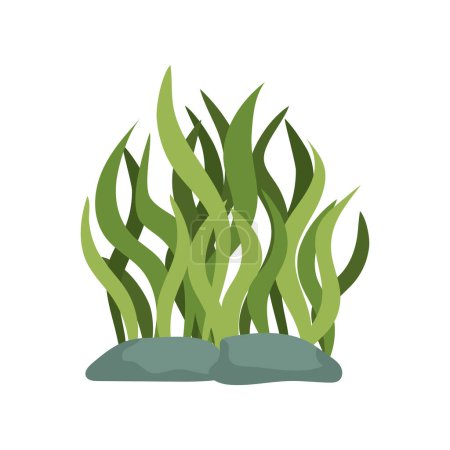 Téléchargez les illustrations : Vie marine algues illustration isolé - en licence libre de droit