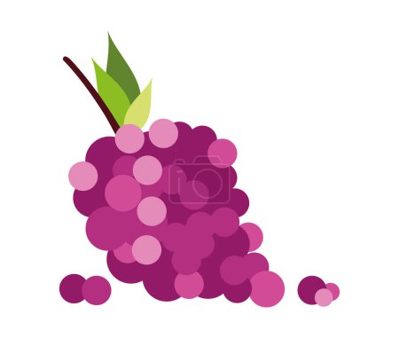 Téléchargez les illustrations : Raisin fruit violet vecteur isolé - en licence libre de droit