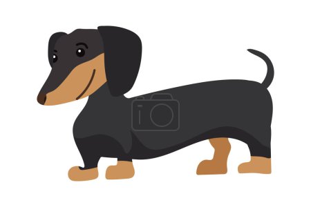 Ilustración de Perro dachshund ilustración vector aislado - Imagen libre de derechos
