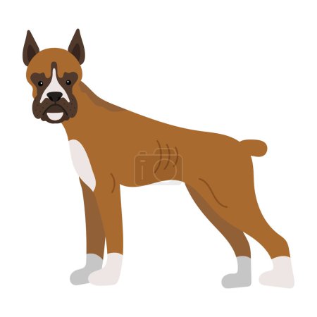 Illustration for Dog boxer illustration vector isolated - Royalty Free Image