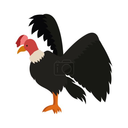 Illustration for Condor bird illustration vector isolated - Royalty Free Image