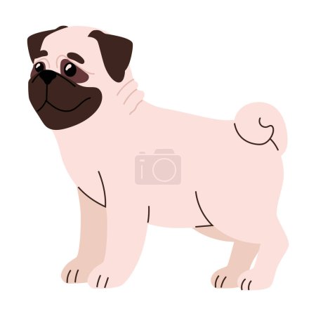 Illustration for Dog breed bulldog illustration design - Royalty Free Image