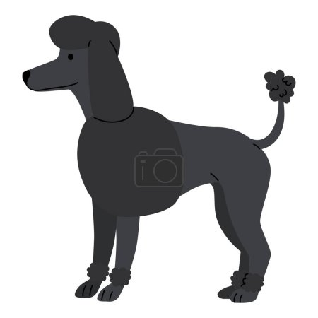 Illustration for Dog breed standard poodle illustration design - Royalty Free Image