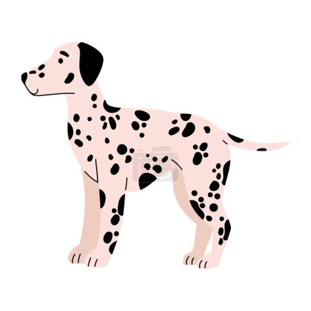 Illustration for Dog breed dalmatian illustration design - Royalty Free Image