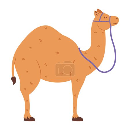 Téléchargez les illustrations : Dessin animal chameau illustration isolé - en licence libre de droit