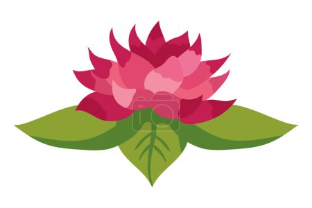 Téléchargez les illustrations : Vecteur fleur de lotus rose isolé - en licence libre de droit