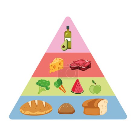 Illustration for Nutritional products pyramid vector isolated - Royalty Free Image