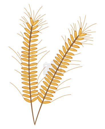 Ilustración de Rama de trigo ilustración vector aislado - Imagen libre de derechos