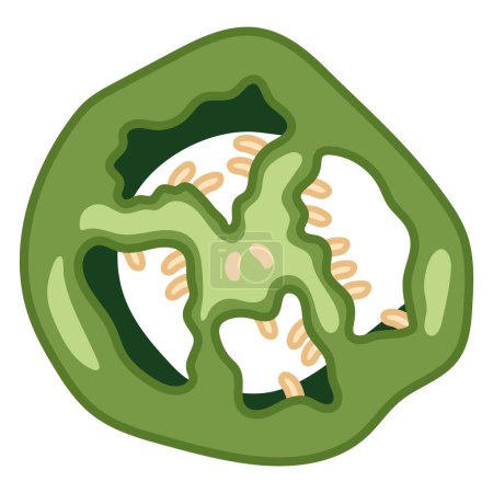 Ilustración de Verde pimientos chile vector aislado - Imagen libre de derechos