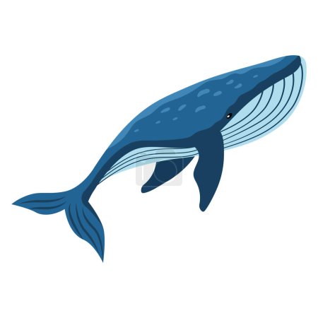 Téléchargez les illustrations : Animal baleine conception isolée sous-marine - en licence libre de droit