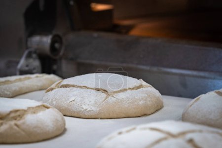 Photo for Tasted, special and fresh beautiful french raw bread - Royalty Free Image