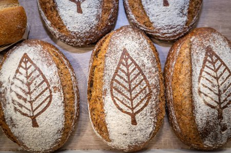 Téléchargez les photos : Tasted, special and fresh beautiful french bread - en image libre de droit