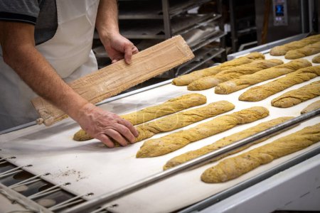 Foto de Tasted and fresh beautiful bread named french baguette ready to be cooked - Imagen libre de derechos