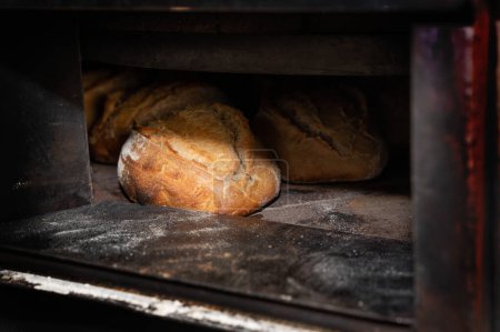 Foto de Tasted, special and fresh beautiful french bread - Imagen libre de derechos