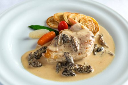 Assiette française traditionnelle nommée poulet aux morilles et crème