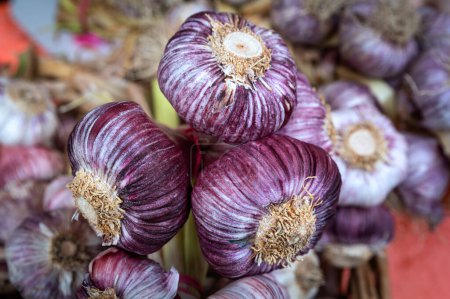 Photo for Nice and tasted fresh and pink garlic ready for cooking - Royalty Free Image