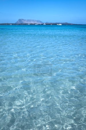 Photo for Famous La Cinta beach with beautiful water. San Theodoro in Sardinia, Italy - Royalty Free Image