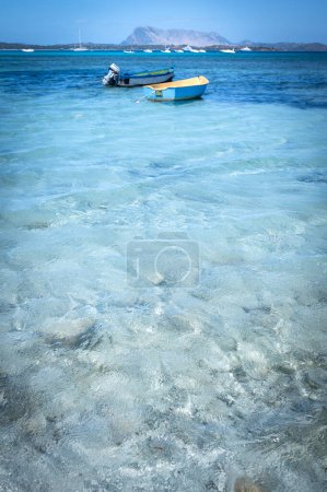 Photo for Famous La Cinta beach with beautiful water. San Theodoro in Sardinia, Italy - Royalty Free Image