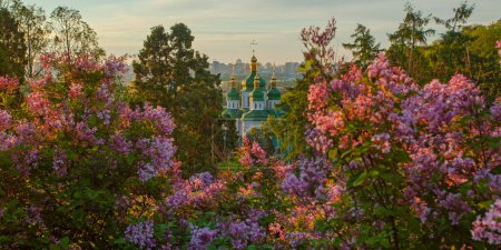 Photo for Sunrise view of Kyiv  and the the Vydubychi monastery from Hryshko botanical garden in lilac flowers, Ukaine - Royalty Free Image