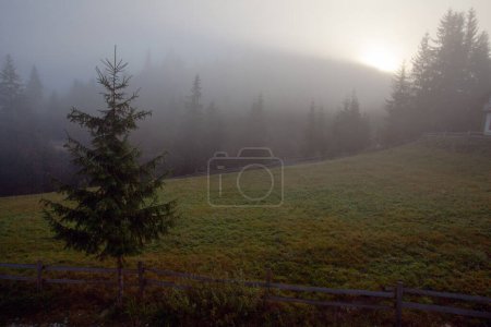 Téléchargez les photos : Matin brumeux dans les montagnes des Carpates, Xoinae - en image libre de droit
