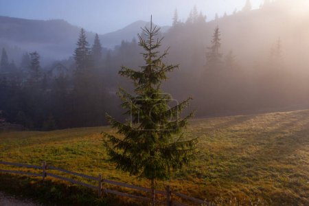 Téléchargez les photos : Matin brumeux dans les montagnes des Carpates, Xoinae - en image libre de droit