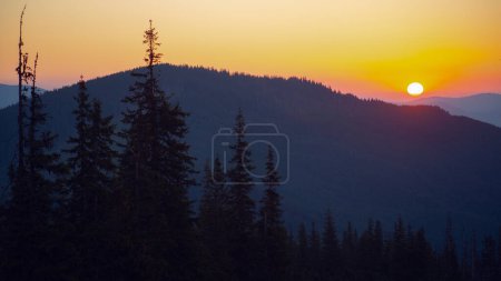 Photo for Morning fog in sunrise time in Carpathian mountains, Ukraine - Royalty Free Image