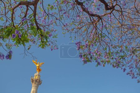 Téléchargez les photos : MEXIQUE / MEXIQUE - 14 MARS 2022 : Statue d'ange de l'indépendance située avenue Paseo de la Reforma. C'est l'une des icônes de Mexico.. - en image libre de droit