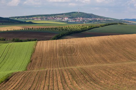 Téléchargez les photos : Superbes motifs rayés sur les champs de Moravie du Sud, couleurs printanières fraîches vertes et jaunes. - en image libre de droit