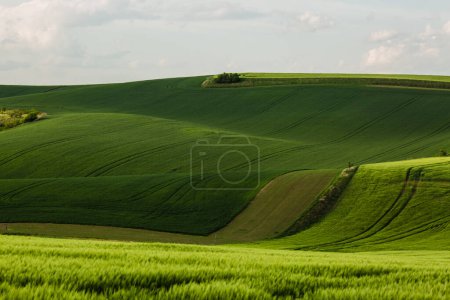 Foto de Majestuosas olas de campo en el área de Moravia del Sur, República Checa - Imagen libre de derechos
