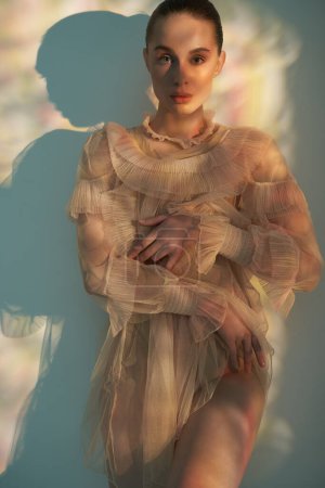 Téléchargez les photos : Young beautiful girl posing in a romantic dress. Sunlight. Sexy model in transparent dress. - en image libre de droit