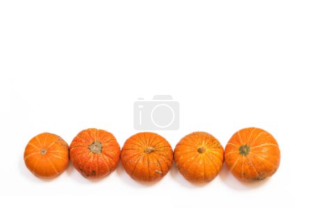 Téléchargez les photos : Citrouille orange d'automne fraîche isolée sur fond blanc. Concept Halloween célébration fond, récolte d'automne, minimalisme modèle de décoration de vacances. Vue du dessus, plan, espace de copie - en image libre de droit