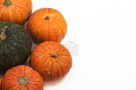 Photo for Fresh autumn orange pumpkins isolated on white background. Concept Halloween celebration background, fall harvest, minimalism holiday decoration template. Top view, flat lay, copy space - Royalty Free Image