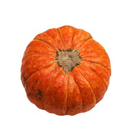 Photo for Fresh autumn orange pumpkin isolated on white background. Concept Halloween celebration background, fall harvest, minimalism holiday decoration template. Top view, flat lay, copy space - Royalty Free Image