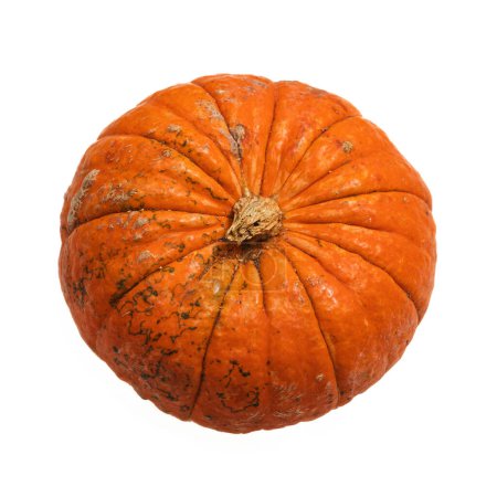 Photo for Fresh autumn orange pumpkin isolated on white background. Concept Halloween celebration background, fall harvest, minimalism holiday decoration template. Top view, flat lay, copy space - Royalty Free Image