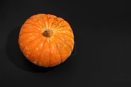 Photo for One ripe beautiful orange autumn pumpkin on black background. Concept Halloween celebration background, fall harvest, minimalism holiday decoration template. Top view, flat lay, copy space - Royalty Free Image