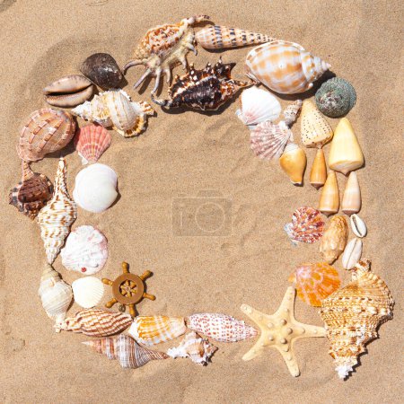Foto de Marco hecho de impresionantes conchas marinas colocadas en la playa de arena, encapsulando la esencia encantadora de la orilla del mar - Imagen libre de derechos