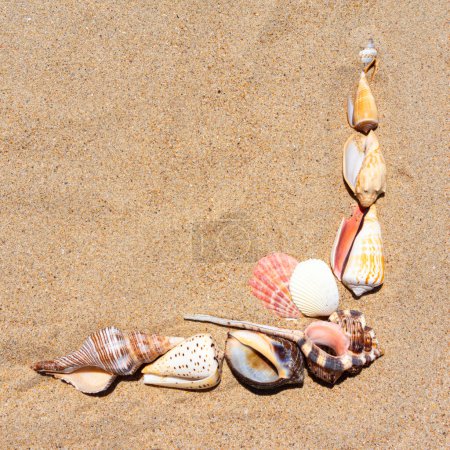 Foto de Esquina de un marco de álbum de recortes adornado con exquisitas conchas marinas en la playa de arena, un elemento decorativo que captura la esencia de la costa - Imagen libre de derechos