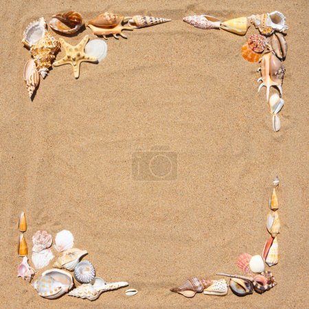Photo for Frame made of stunning seashells placed on the sandy beach, encapsulating the enchanting essence of the seashore - Royalty Free Image