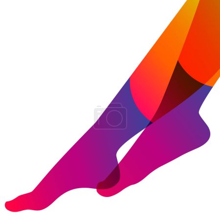 Illustration for Long and slim female legs in socks on white background, vector illustration. - Royalty Free Image
