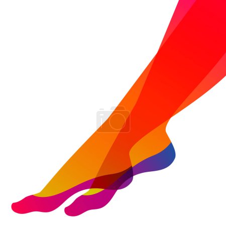 Illustration for Long and slim female legs in no show liner socks on white background, vector illustration. - Royalty Free Image