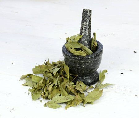 Amour séché, célèbre herbe culinaire, lat. Levisticum officinale. Pilier séché dans un mortier avec pilon sur la table blanche. 
