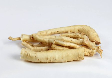 Dang Shen root or Poor Man's Ginseng, lat.  Codonopsis Pilosula. Fresh roots ready to make tincture, Chinese herbal medicine.