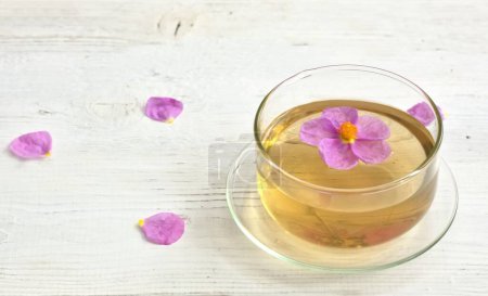 Herbal tea made from Cistus incanus, known as rock rose. Traditional curative herb with many external and internal benefits.