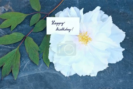 Happy birthday card placed next to white flower head of tree peony, lat. Paeonia suffruticosa. Birthday greeting card with beautiful Chinese tree peony flower and leaf on the stone.
