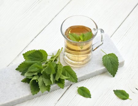 Un verre de thé frais de Melissa officinalis plante, communément appelé baume ou mélisse. Le thé au baume est utilisé pour calmer les nerfs et pour un bon sommeil en médecine traditionnelle . 