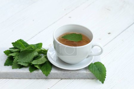 Une tasse de thé frais de Melissa officinalis, communément appelé mélisse ou mélisse. Le thé au baume est utilisé pour calmer les nerfs et pour un bon sommeil en médecine traditionnelle . 