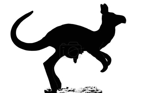 Figura de bolsa de bebé y canguro rojo silueta aislada, gran primer plano macro horizontal negro detallado, recorte marsupial existente, concepto de osphranter rufus mamífero australiano nativo