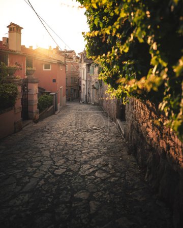 Photo for Narrow streets in the old town of Rovinj, Croatia - Royalty Free Image