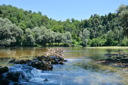 Detail des Flusses Kupa bei Orljakovo in Kroatien